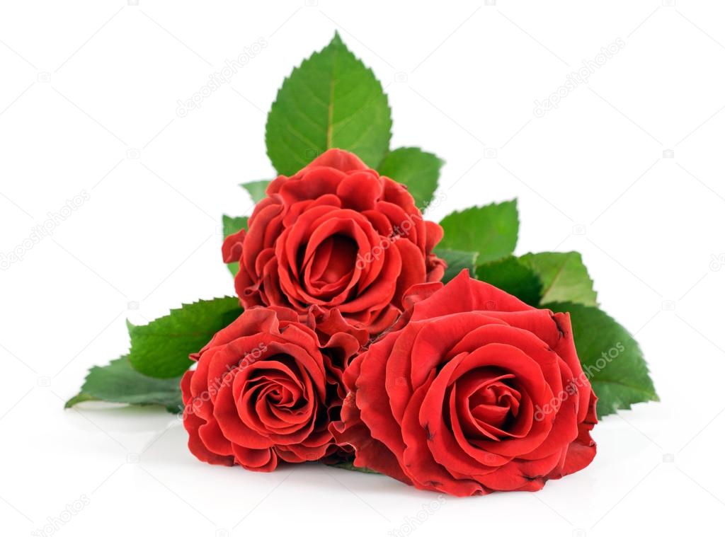 Three beautiful red roses — Stock Photo © viktoriya89 #103715490