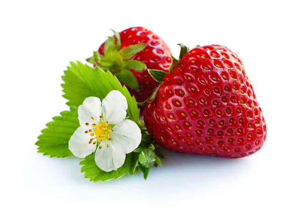 Reife Erdbeere isoliert — Stockfoto