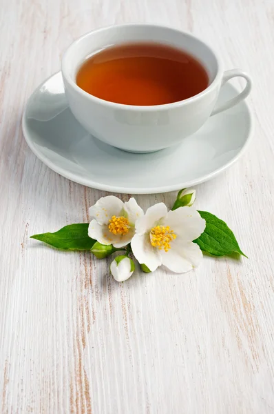 Jasmine tea close-up — Stock Photo, Image