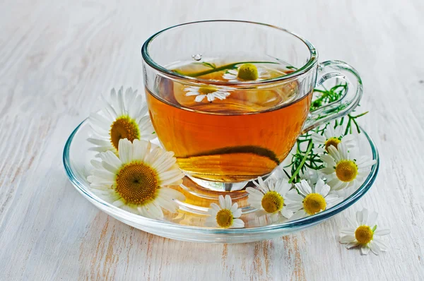 Healthy tea with chamomile in glass cup — Stock Photo, Image