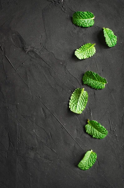 신선한 민트 잎 — 스톡 사진