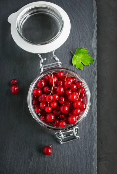 Red currants in a glass jar — Stock Photo, Image