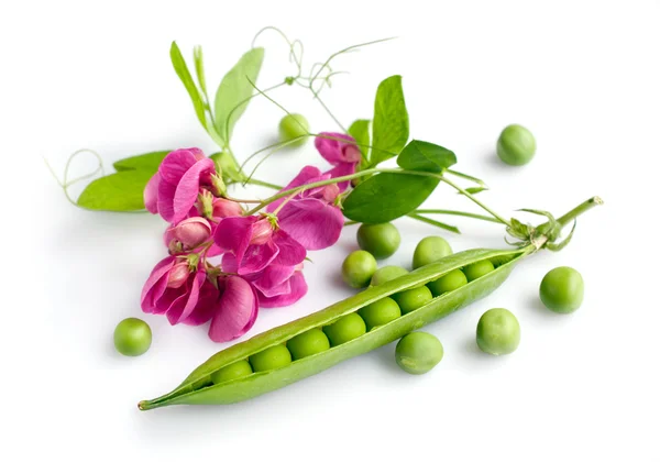 Fresh green peas with blossom — Stock Photo, Image