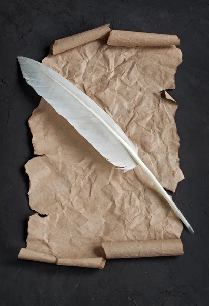 Feather pen and paper scroll — Stock Photo, Image