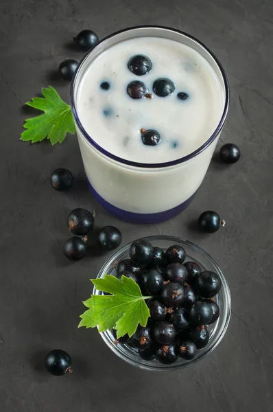 Yogurt with black currants — Stock Photo, Image