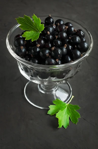 Black currants in glass bowl — Stock Photo, Image