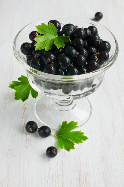 Black currants in glass bowl — Stock Photo, Image