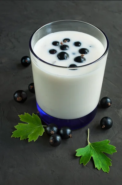 Yogur con grosella negra — Foto de Stock
