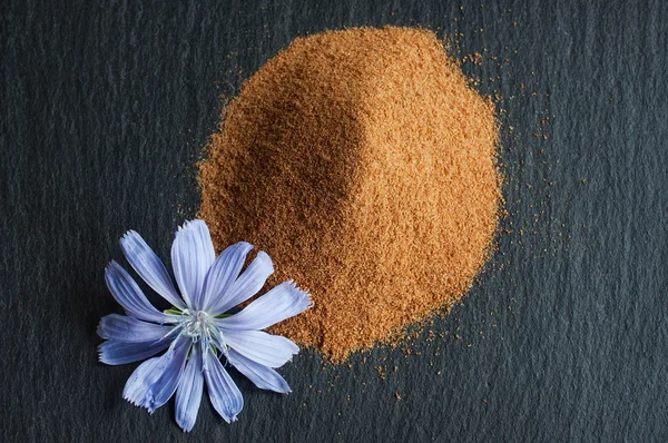 Flor de achicoria azul y polvo de achicoria instantánea — Foto de Stock