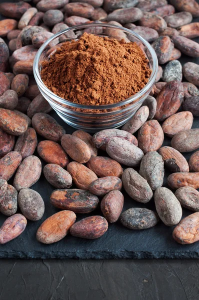 Fèves de cacao et poudre de cacao — Photo