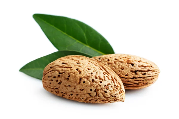 Almonds with leaves — Stock Photo, Image