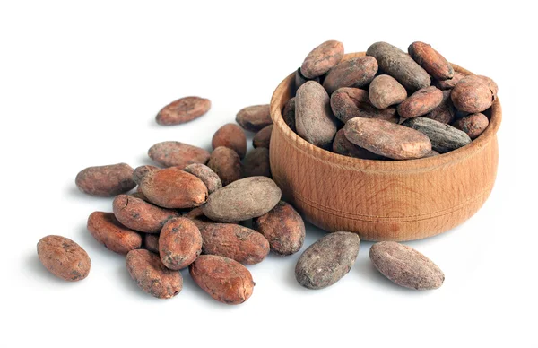 Haricots de cacao isolés — Photo