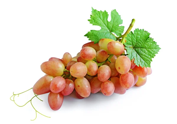 Uvas maduras con hojas — Foto de Stock