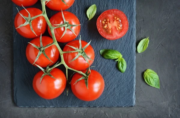 Fresh cherry tomatoes and basil — Stock Photo, Image