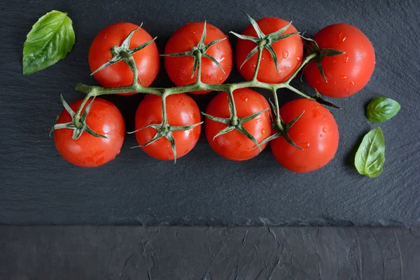 Čerstvá cherry rajčata — Stock fotografie