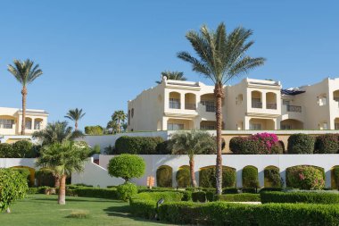 Lüks otelde palmiye ağaçları olan güzel bir bahçe. Mısır tatil köyünde güneşli bir gün