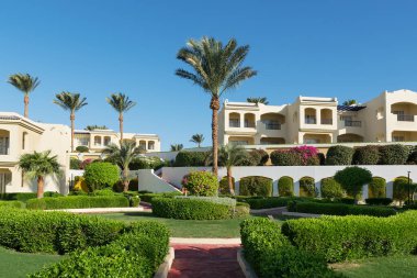 Lüks otelde palmiye ağaçları olan güzel bir bahçe. Mısır tatil köyünde güneşli bir gün