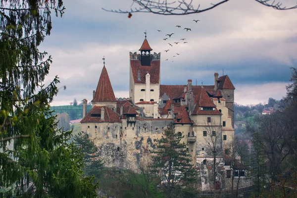 Bellissimo Paesaggio Con Castello Bran Nelle Montagne Dei Carpazi Transilvania — Foto Stock