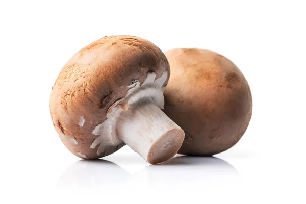 Cogumelos Champignon Crus Castanhos Para Cozinhar Saboroso Isolado Fundo Branco — Fotografia de Stock