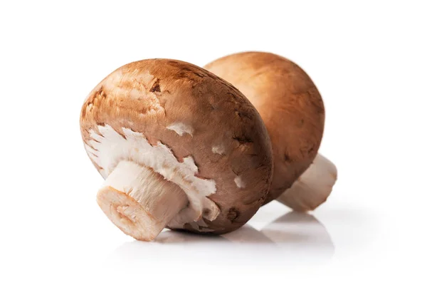 Cogumelos Champignon Crus Castanhos Para Cozinhar Saboroso Isolado Fundo Branco — Fotografia de Stock