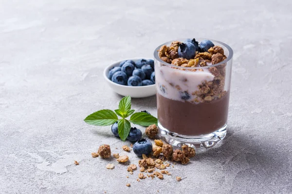 Tasty Chocolate Pudding Sweet Mousse Yogurt Blueberry Granola Mint Portion — Stock Photo, Image