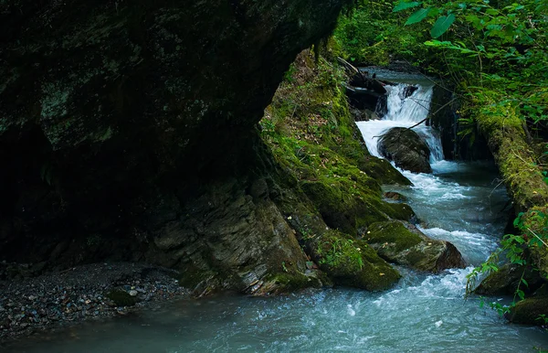 Cascada del bosque —  Fotos de Stock