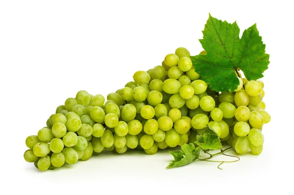 Cepillo grande de uvas blancas —  Fotos de Stock