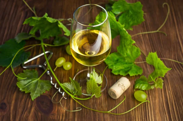 White wine in a glass with vine — Stock Photo, Image