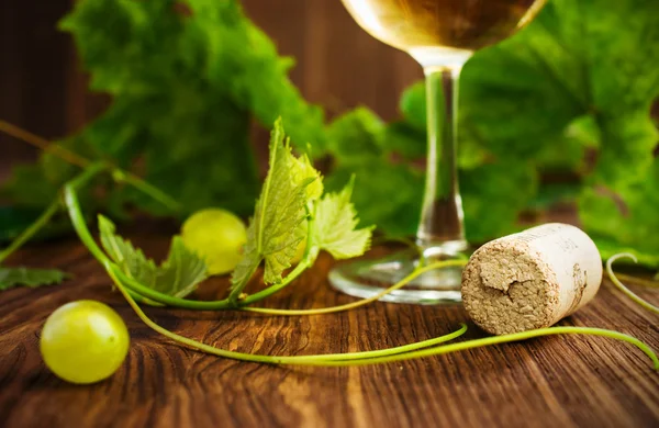 White wine in a glass with vine close-up — Stock Photo, Image