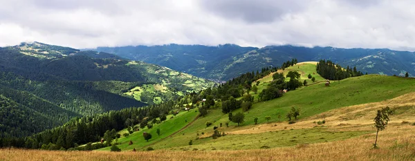 Montañas arboladas en un día de verano — Foto de Stock