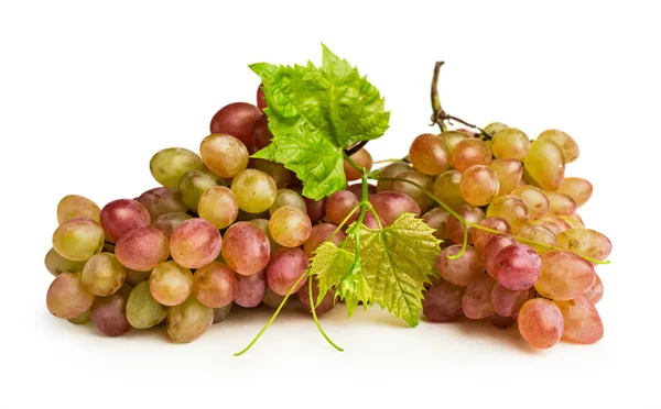 Érett rózsaszín szőlő — Stock Fotó