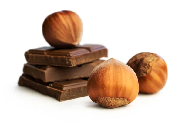 Mogyoró és csokoládé — Stock Fotó