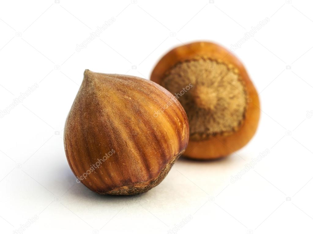 hazelnuts close-up 