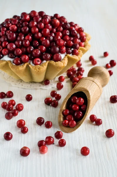 Cranberry dessert — Stockfoto