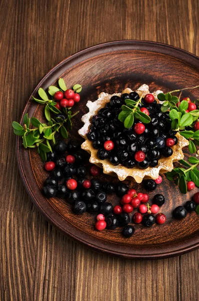 Sweet tartlet with blueberries and cranberries — Stock Photo, Image