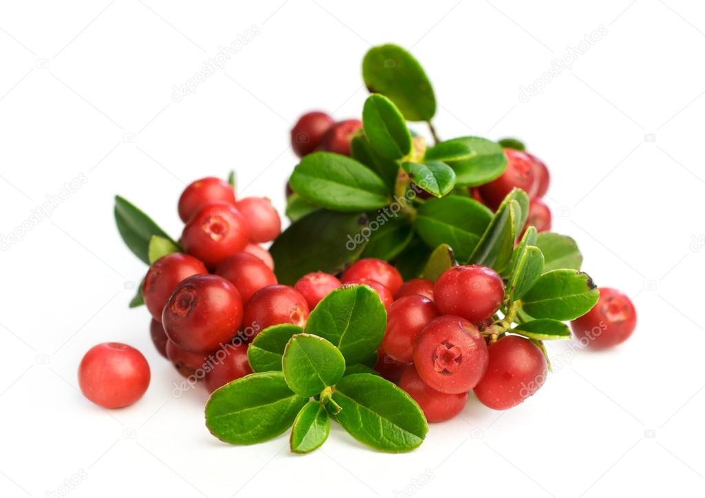 fresh cranberries 