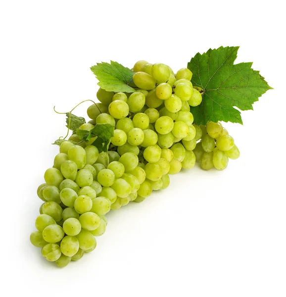 Большая кисть из зеленого винограда — стоковое фото