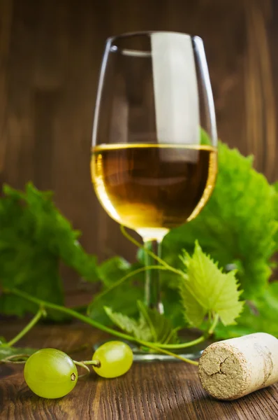 White wine with a vine — Stock Photo, Image