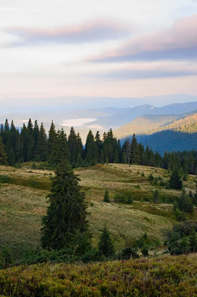Early morning in the Carpathians. — Stock Photo, Image