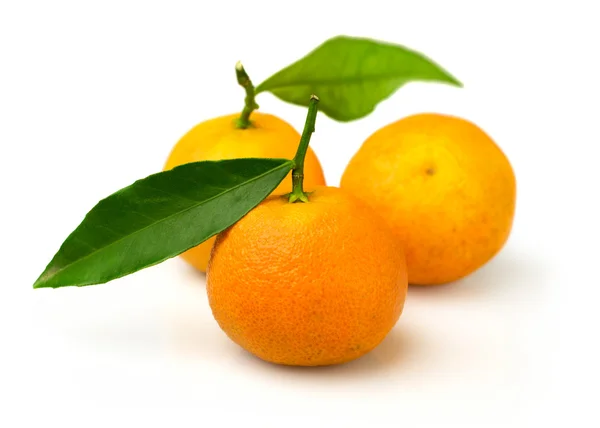 Ripe tangerines isolated — Stock Photo, Image