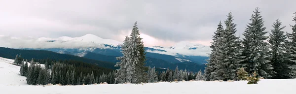 Winter landscape — Stock Photo, Image