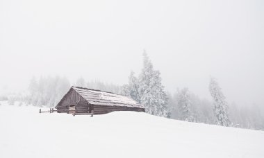 Shepherd'ın kulübe kış dağlarda
