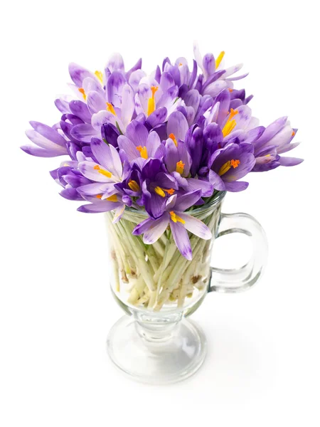 Crocuses in a glass — Stock Photo, Image