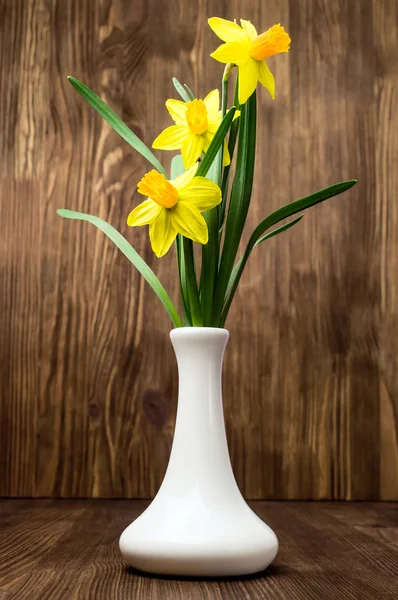 Narcisos em um vaso branco — Fotografia de Stock