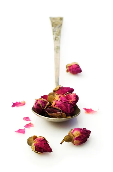 Tea roses — Stockfoto