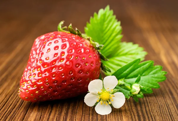 Fresa madura con hojas y flores —  Fotos de Stock