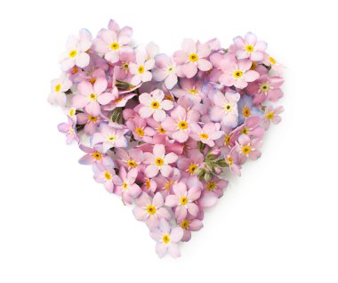 kalp şeklinde unutma çiçeklenir