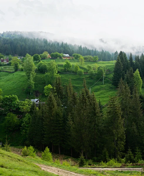 Carpathians  landscape — Stock Photo, Image