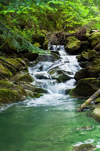 Cascada en el bosque —  Fotos de Stock