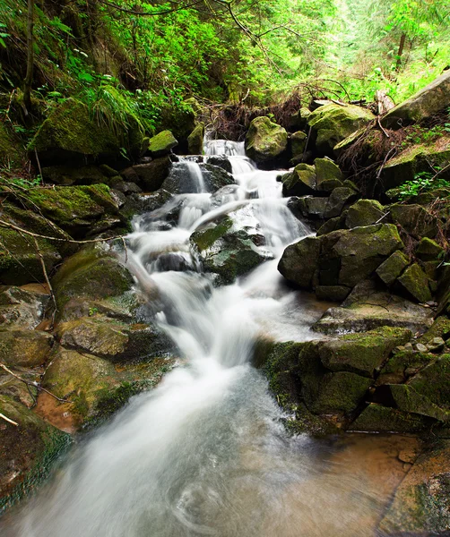Maravillosa cascada forestal —  Fotos de Stock
